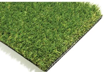 Oasis 30 sample